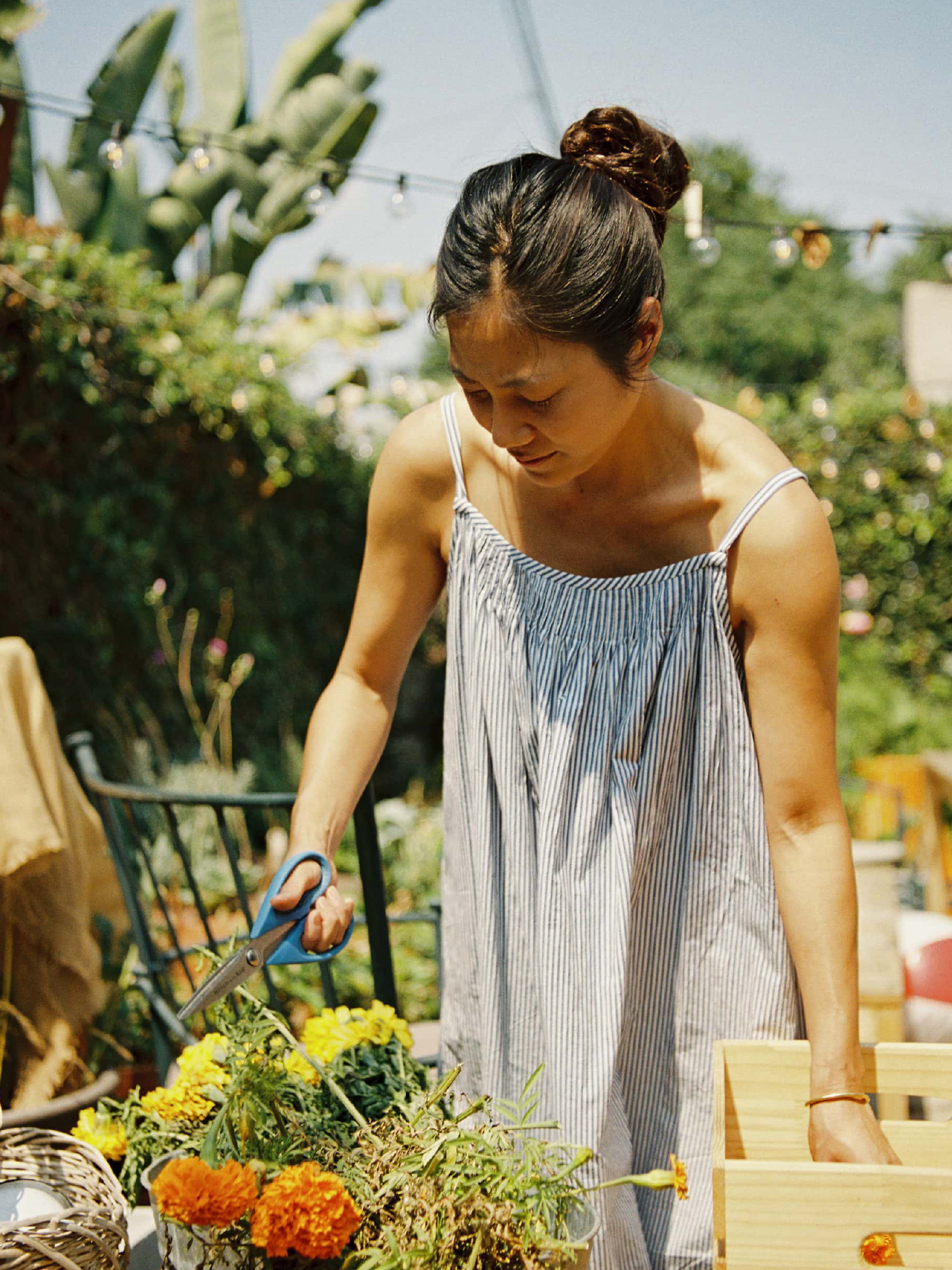 New forms and progressive design solutions